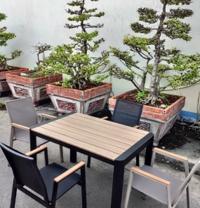 GHẾ NT-DP01