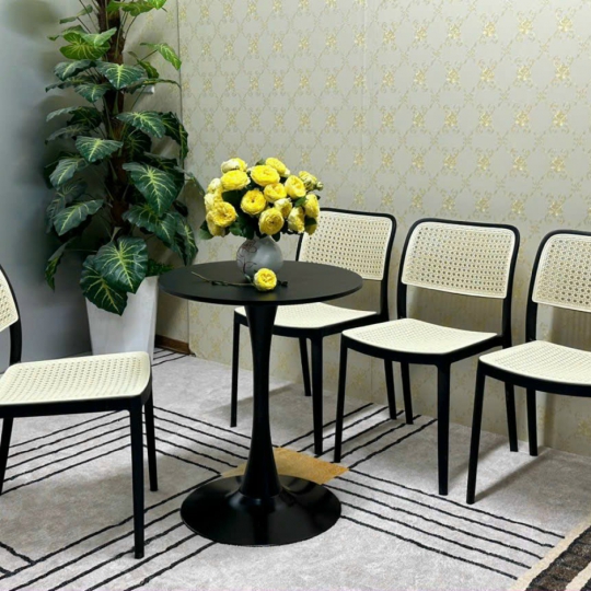 THONET NHỰA PP ĐÚC NHẬP KHẨU