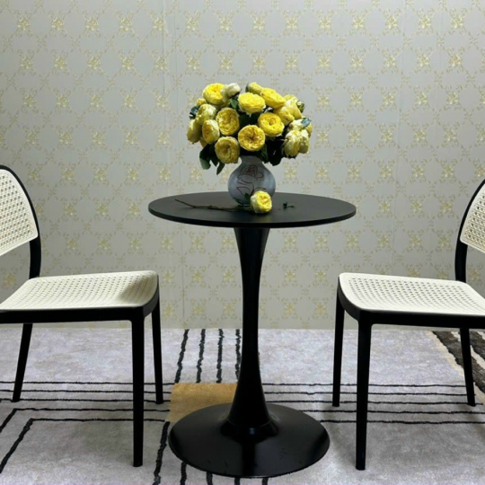 THONET NHỰA PP ĐÚC NHẬP KHẨU