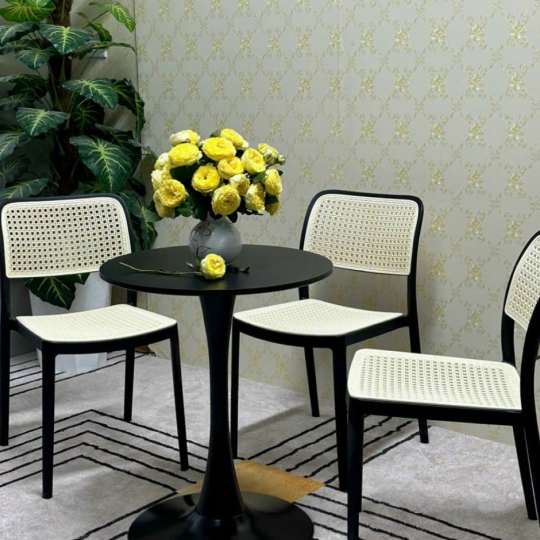 THONET NHỰA PP ĐÚC NHẬP KHẨU