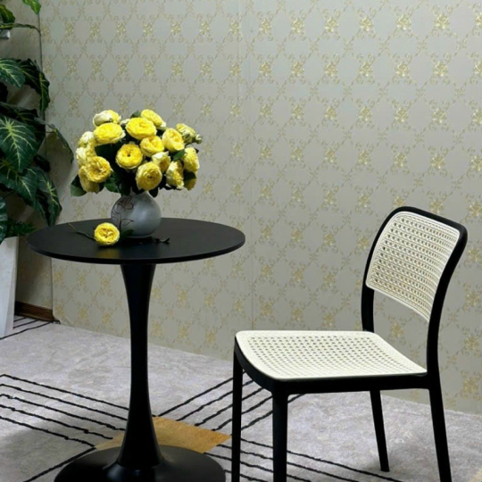 THONET NHỰA PP ĐÚC NHẬP KHẨU