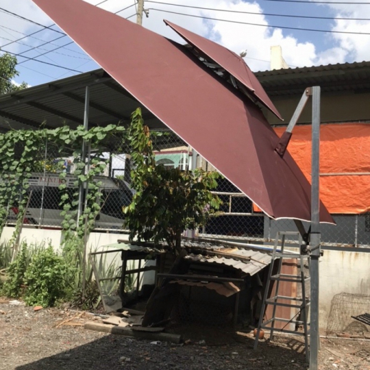DÙ CHE NGHIÊNG THEO HƯỚNG NẮNG